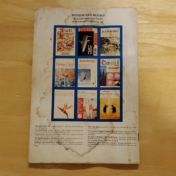 Colorful Shell Book - Picture 2 of 2